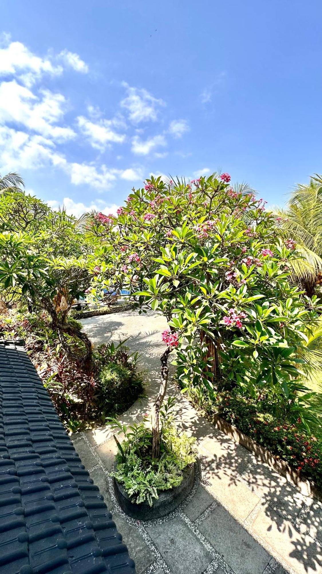 Puri Bali Hotel Lovina  Exterior photo